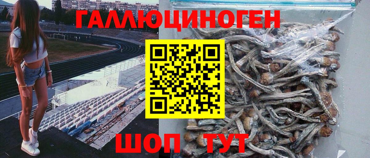 Псилоцибиновые грибы мухоморы Шатура